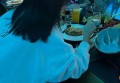 晋江法院保安招聘条件（晋江法院安保人员招聘标准）